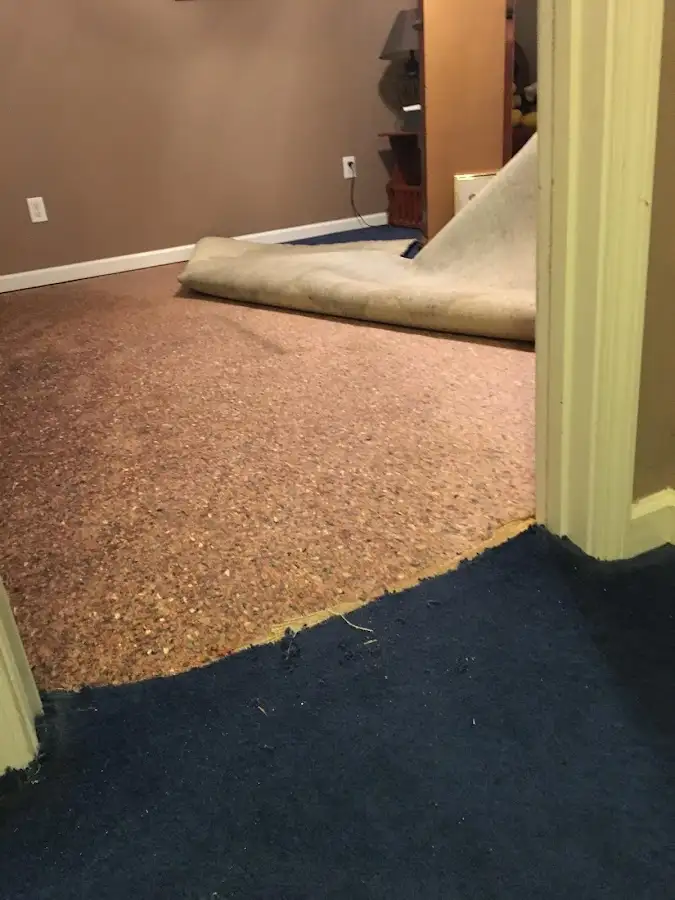 Carpet pad removal revealing water damage during Drying & Dehumidification in Sandston