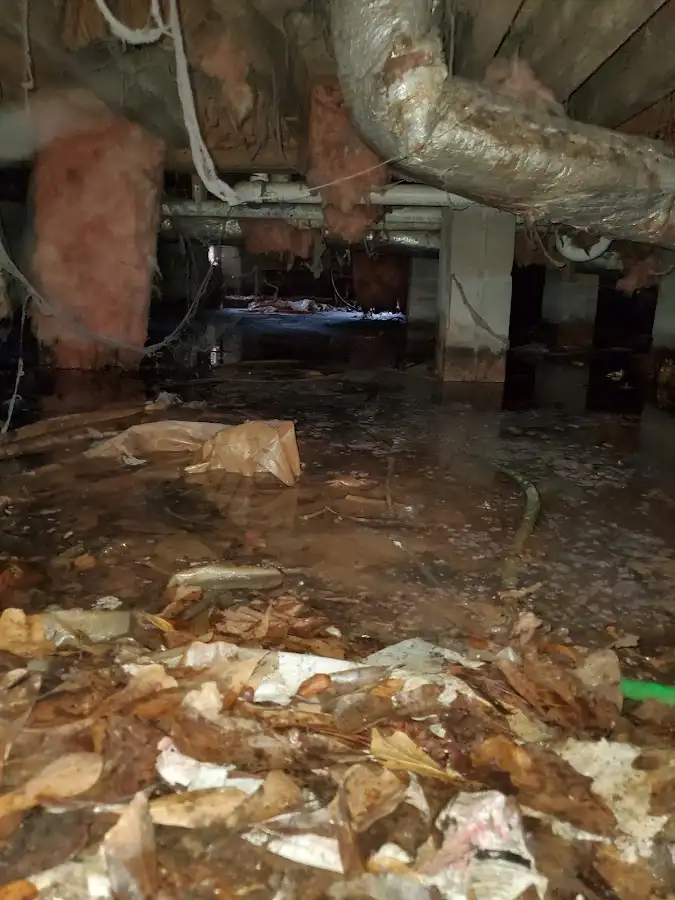 Crawl space flood assessment for Leak Detection & Repair in Sandston
