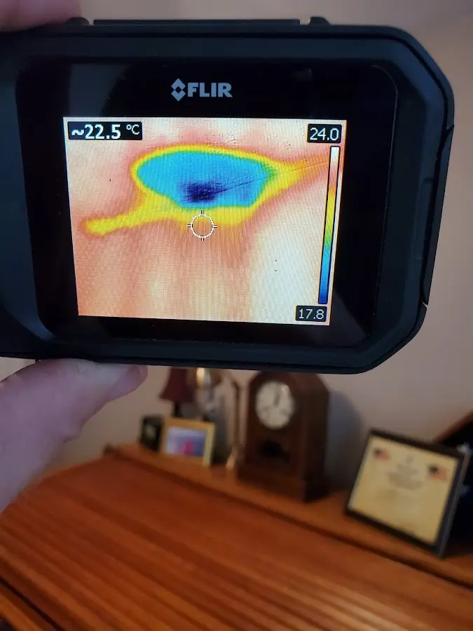 Thermal imaging inspection for water damage in Sandston