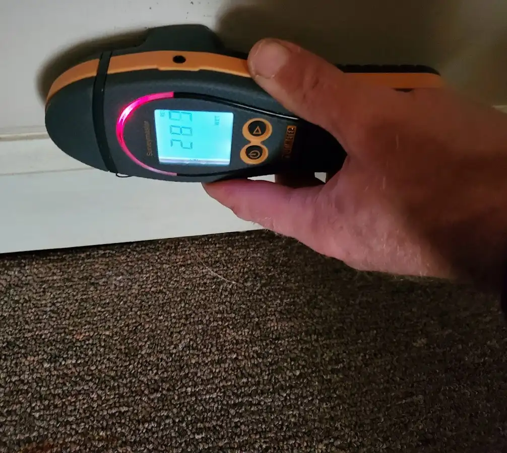 Moisture detection at baseboard during Sewage Cleanup & Sanitation in Sandston